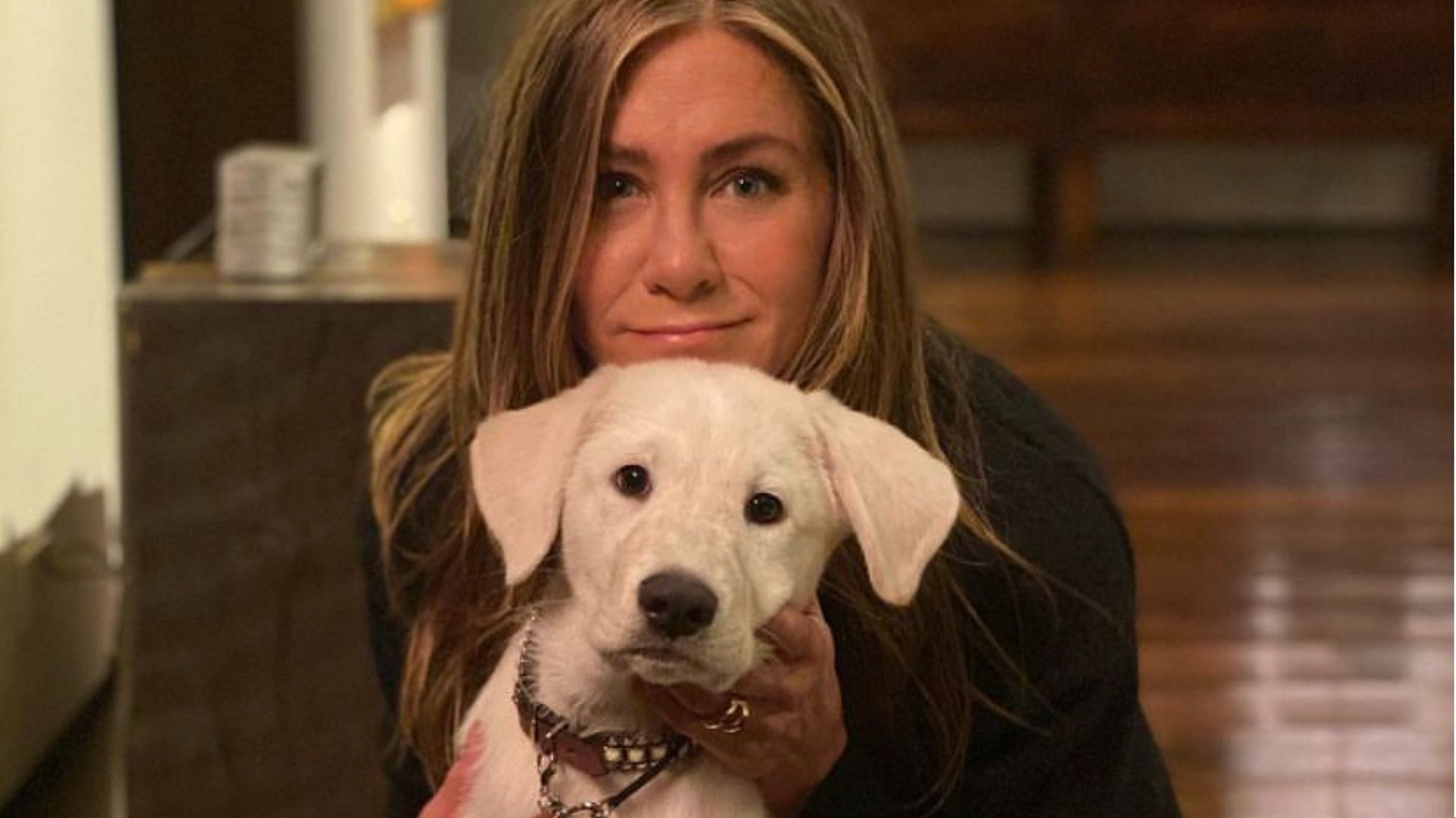 تقول أنيستون أن كروس فيت كانت عدوانية للغاية بالنسبة لها. (الصورة من Instagram / jenniferaniston)